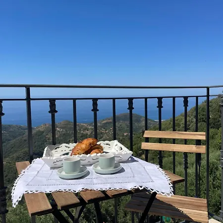 Il Cortile Delle Zagare
