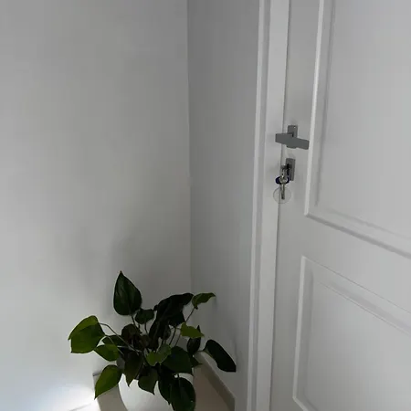 Il Cortile Delle Zagare Guest house *
